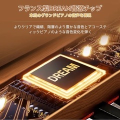 TERENCE 電子ピアノ 88鍵 カウンターウェイト鍵盤 木製 マイク対応②の画像