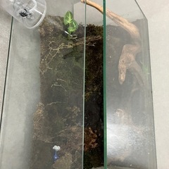 水槽セットの画像