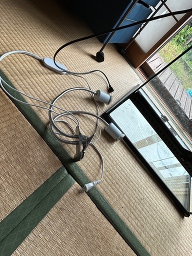 爬虫類飼育セット