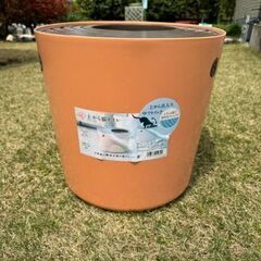 猫といれ　上から出入り　　アイリスオオヤマの画像