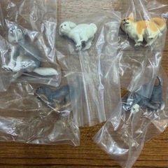 ふんばりーぬ③ 5種セットの画像