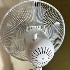 Forest  Life 扇風機②の画像