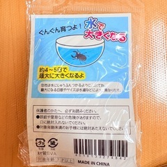 水で大きくなるビックリ昆虫23個まとめの画像