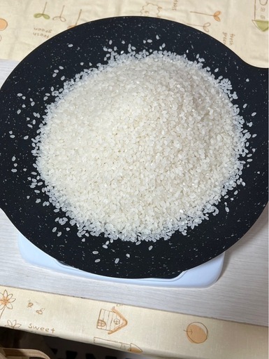 いわってこ