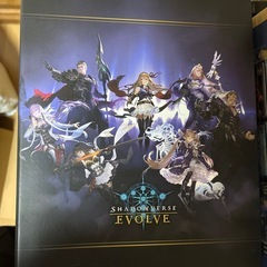 シャドウバースエボルヴのカードファイル トレカ まとめ売りの画像
