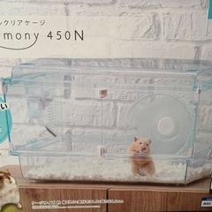 グラスハーモニー ハムスターセット🐹の画像
