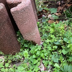 ガーデンブロックの画像