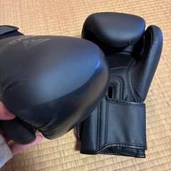 キックボクシング　グローブの画像