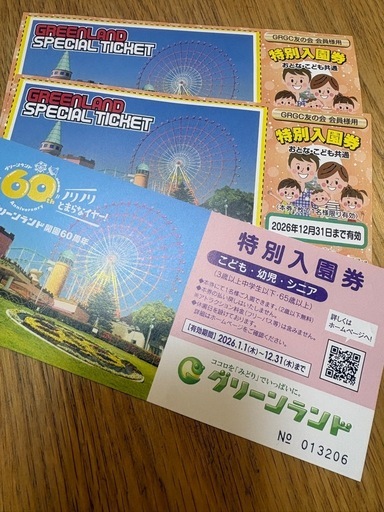 三井グリーンランド入場券 (みー☺️) 西熊本のテーマパーク/遊園地の