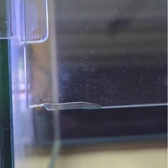30㎝キューブ水槽の画像