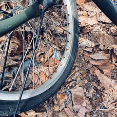 自転車🚲1000円！の画像