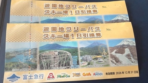 富士急  フリーパス　2枚