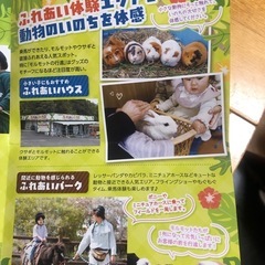 群馬サファリパーク　無料券の画像