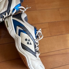 バドミントンシューズの画像