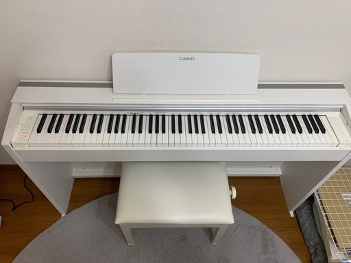 CASIO Privia px-2000GP_1