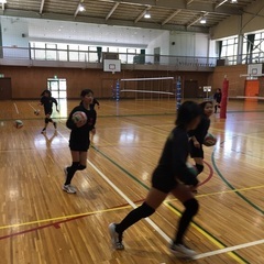 小学生　バレー　チーム