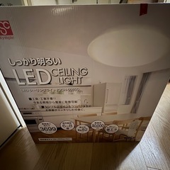     LED電球 の画像