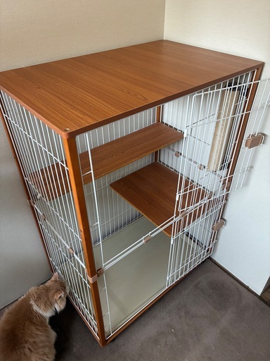 【値下げしました】猫 ケージ キャットケージ 木製フレーム 掃除しやすいトレー 2段 BTM 猫 ケージ キャットケージ 木製フレーム 掃除しやすいトレー 2段