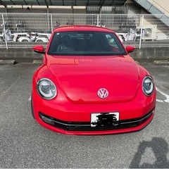 超綺麗な　ザビートル　レザーパッケージの画像