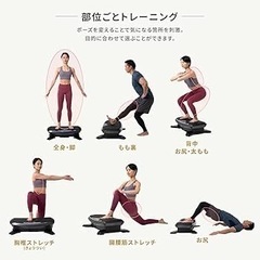 【美品】RIZAP×DOCTOR AIR 3Dバランスプレードの画像