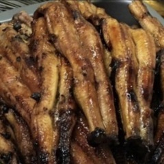 17.鰻釣り専門ラインオープンチャット   【鰻遊会】メンバー募...