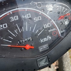 ホンダ スマートディオ AF68の画像