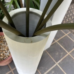 おしゃれ 造花 蓮の葉 ロータス 特大 鉢セット アジアン 観葉植物 オブジェ　観葉植物　塊根植物　多肉植物　ビザールプランツ　レアプランツ　ガーデニング　植物　グリーン　趣味　盆栽　葉　花　庭　草　インテリア　おしゃれ　飾り　ハス、蓮、ロータス、リーフ、フェイクグリーン、造花、人工観葉植物、アートグリーン、インテリアグリーン　アジアン、バリ風、モダン、スタイリッシュ、和モダン、シンプル、モノトーン、北欧　リビング、玄関、店舗用品、什器、カフェ、サロン、モデルハウス展示品、撮影小道具、仏花、和室　園芸　　の画像