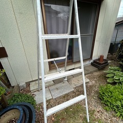 中古スチール脚立２台の画像