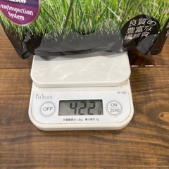 オレゴンチモシーの画像