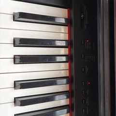 クラビノーバの画像