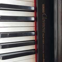 クラビノーバの画像