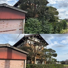 【お見積無料】お庭の剪定などお任せ下さい！ - 土浦市