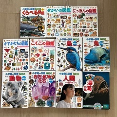 図鑑　小学館　講談社の画像