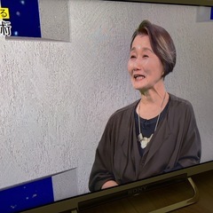 13年製 SONY BRAVIA 液晶テレビ KDL- 24W600A 24Vの画像