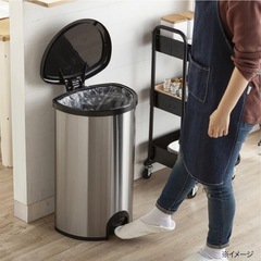 ゴミ箱 50L ステンレス ペダル式 フットタッチ式 カインズ ダストボックスの画像
