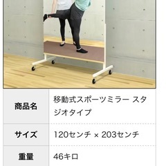 移動式スポーツミラーの画像