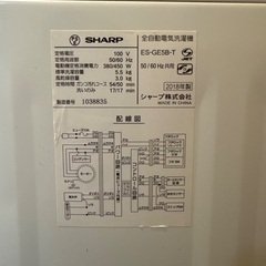 【4／29まで】SHARP シャープ 全自動電気洗濯機 5.5L ES-GE5Bの画像