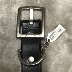 正規品 COACH コーチ ドッグカラー&リード L 未使用品 ボックス付の画像