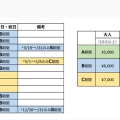 土曜日　GW 夏休みに　グランドメルキュール沖縄プール利用リストバンド 3枚の画像