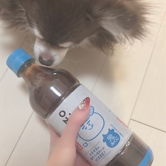 GWみんなで飲みに行きませんか？？