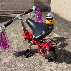 豆チャリの画像