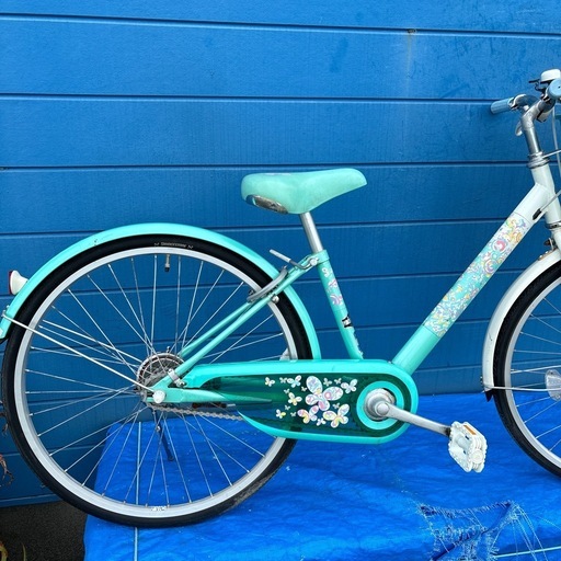 ECOPAL  24インチ
