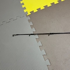 ソルティガロッドの画像