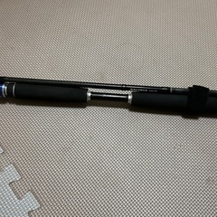 ソルティガロッドの画像
