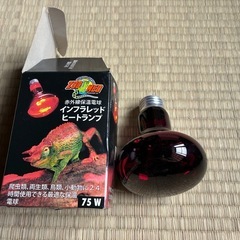 【爬虫類飼育】赤外線保温球　75Wの画像
