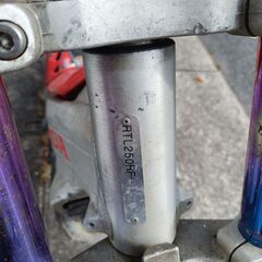 2001年式 HONDA RTL250R  トライアルレーサーの画像