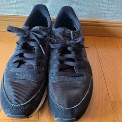 Nike スニーカー 26cmの画像