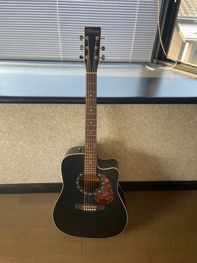 Norman Protege B18 CW Cedar Black Presys 【公式通販】