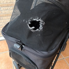 小型犬用ペットカートの画像