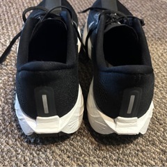 ナイキ ペガサス プラス メンズ ロード ランニングシューズの画像